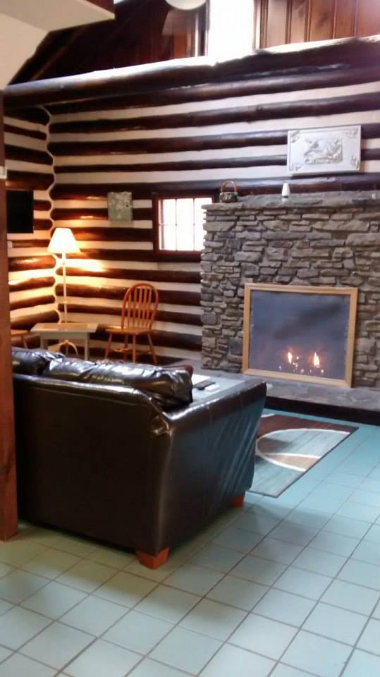 Rhododendron Fireplace and Sofa
