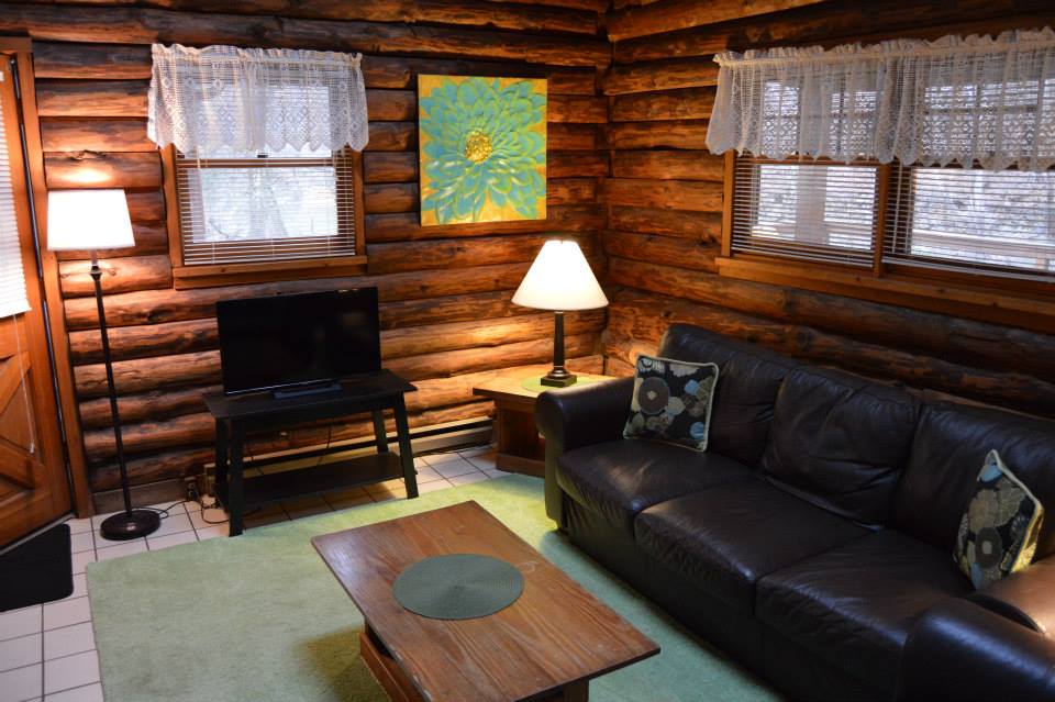 Swinging Vine Living Room