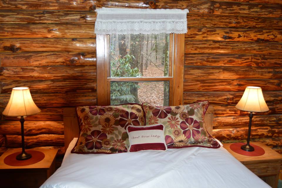 Forest View from the Bedroom