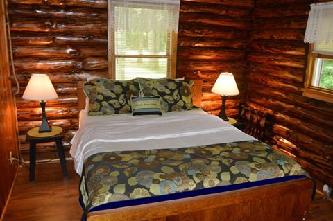 Swinging Vine Bedroom