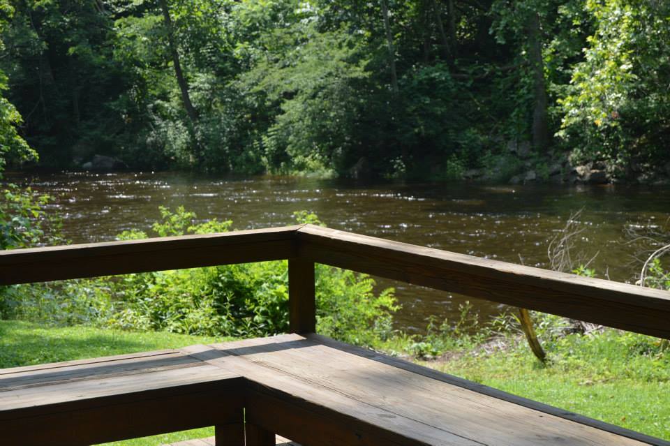 Swinging Vine River View