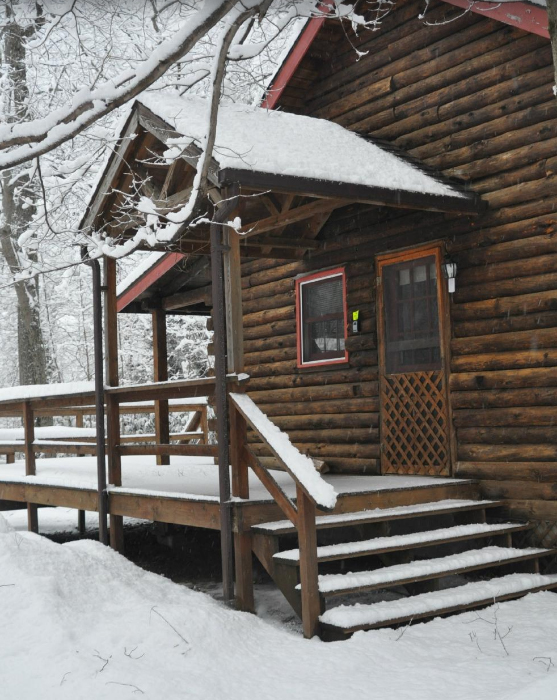 Swinging Vine Cabin in the Winter