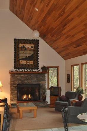 Treehouse Fireplace