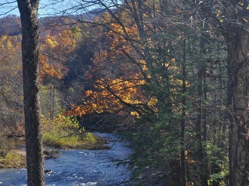 River View from the Deck
