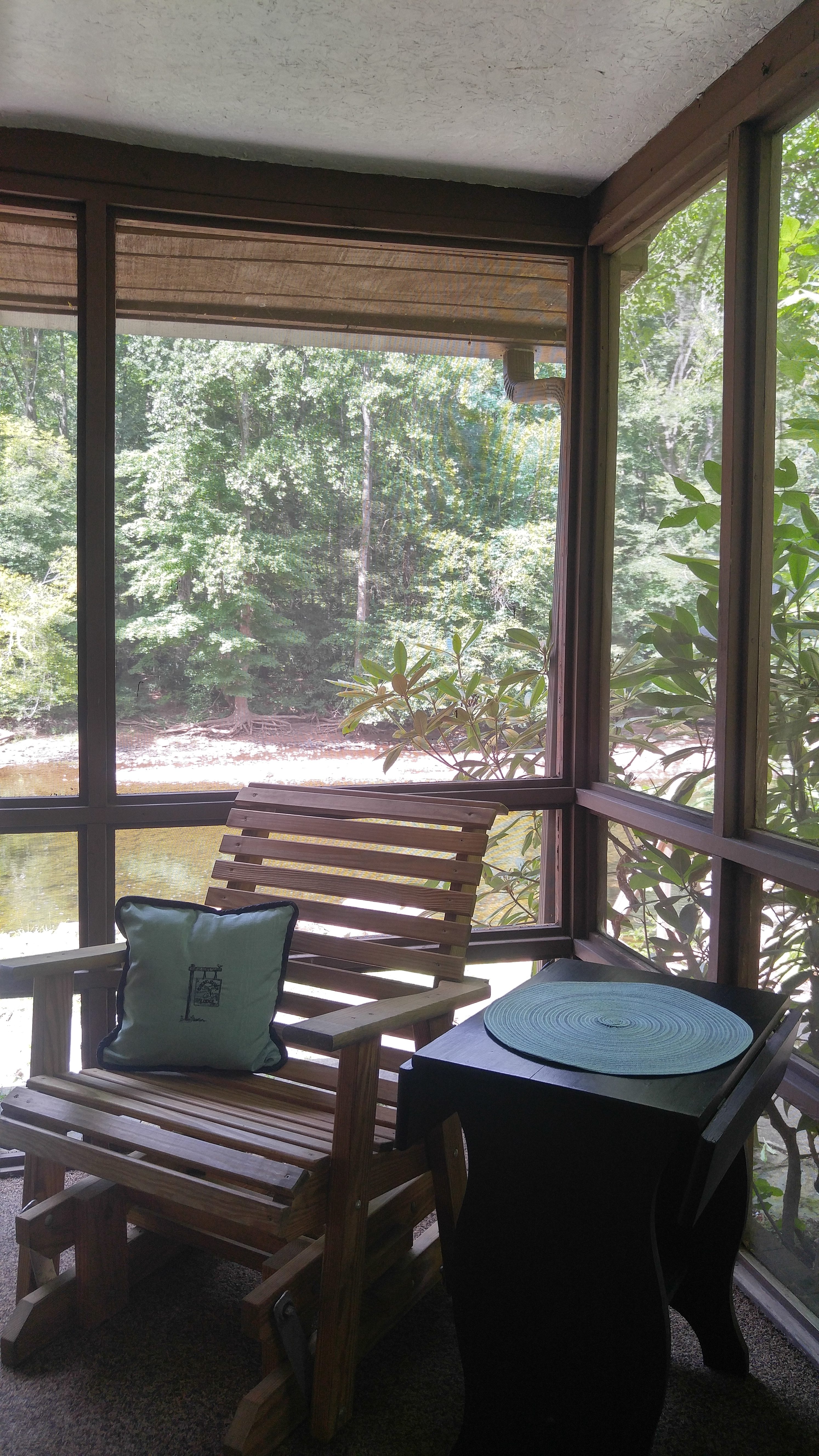 Rhododendron Seating Area in Screened in Area
