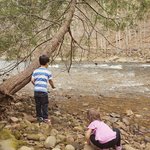 Children Playing on the Shore