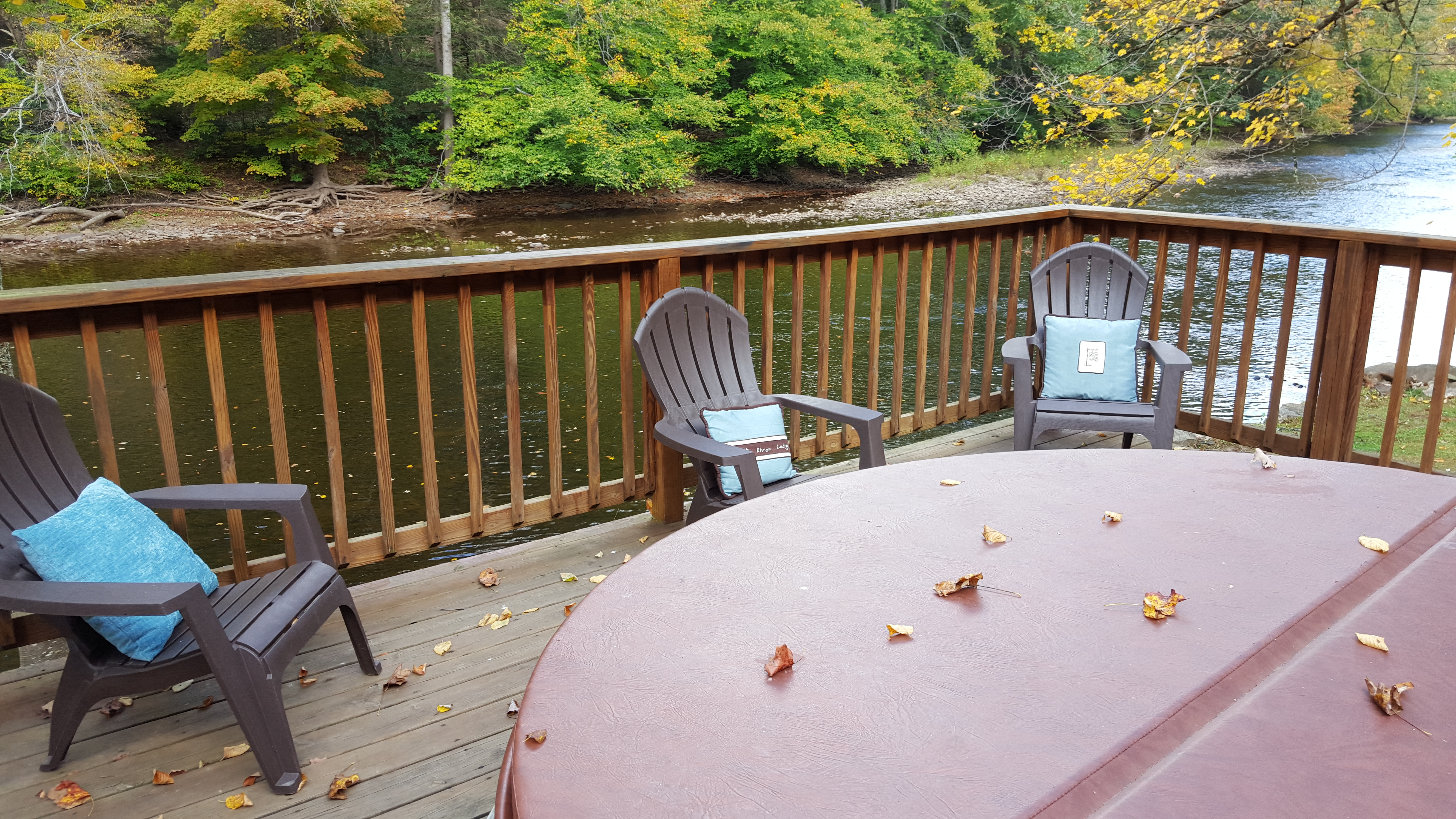 Rhododendron Deck Seating Area