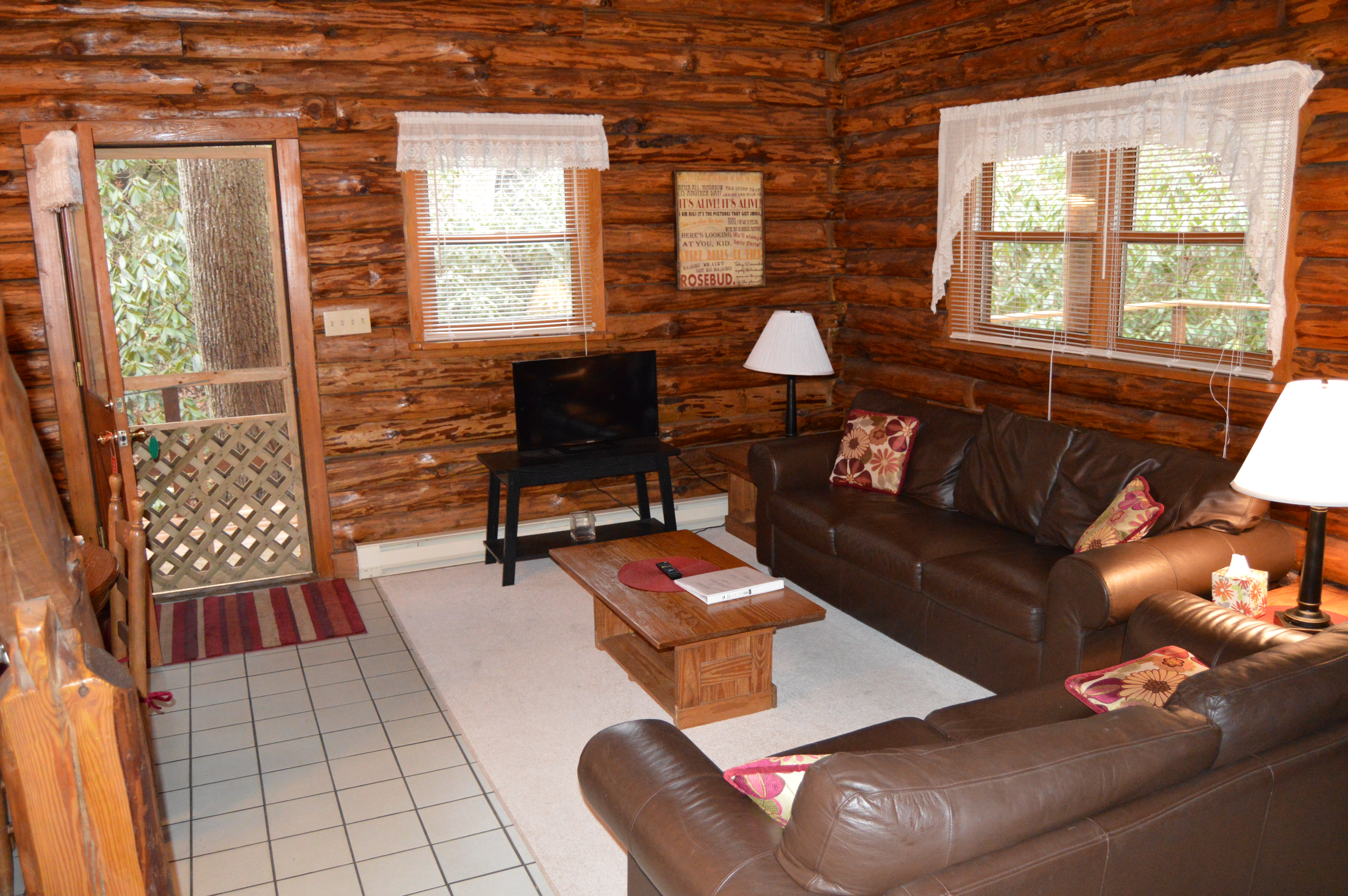 Big Poplar TV and Couches