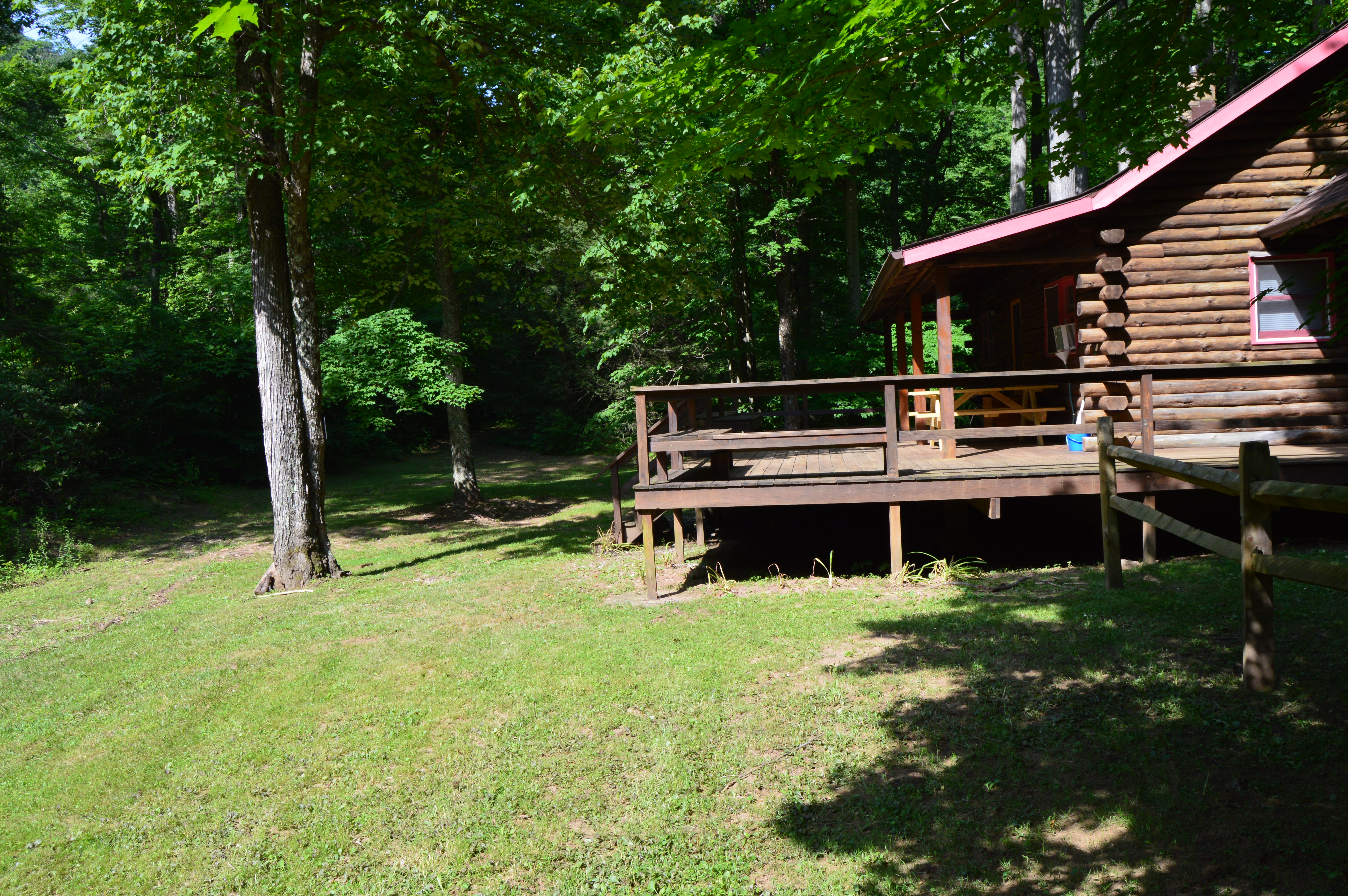 Swinging Vine Deck and Lawn