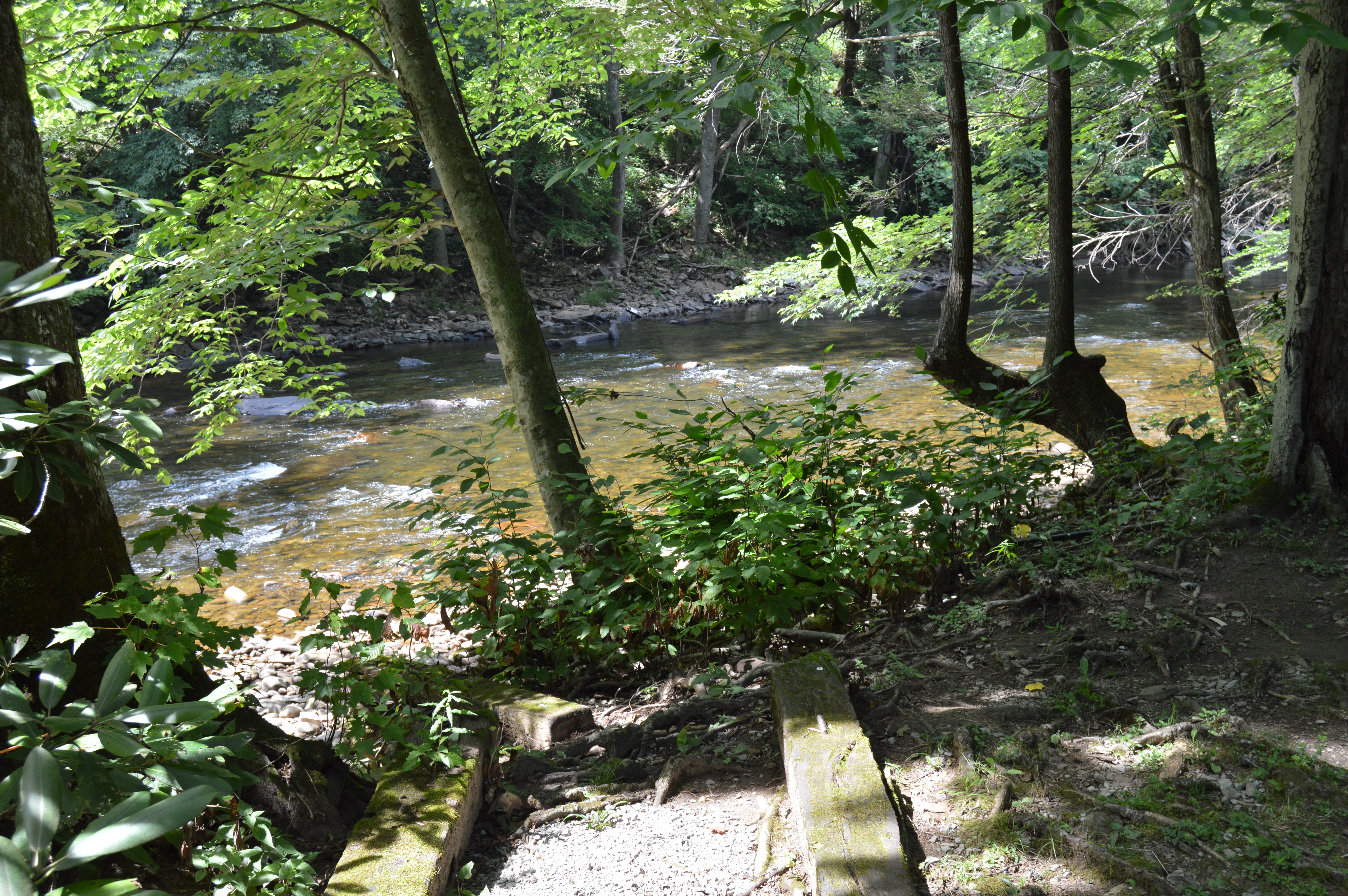 Big Polar Log Cabin River