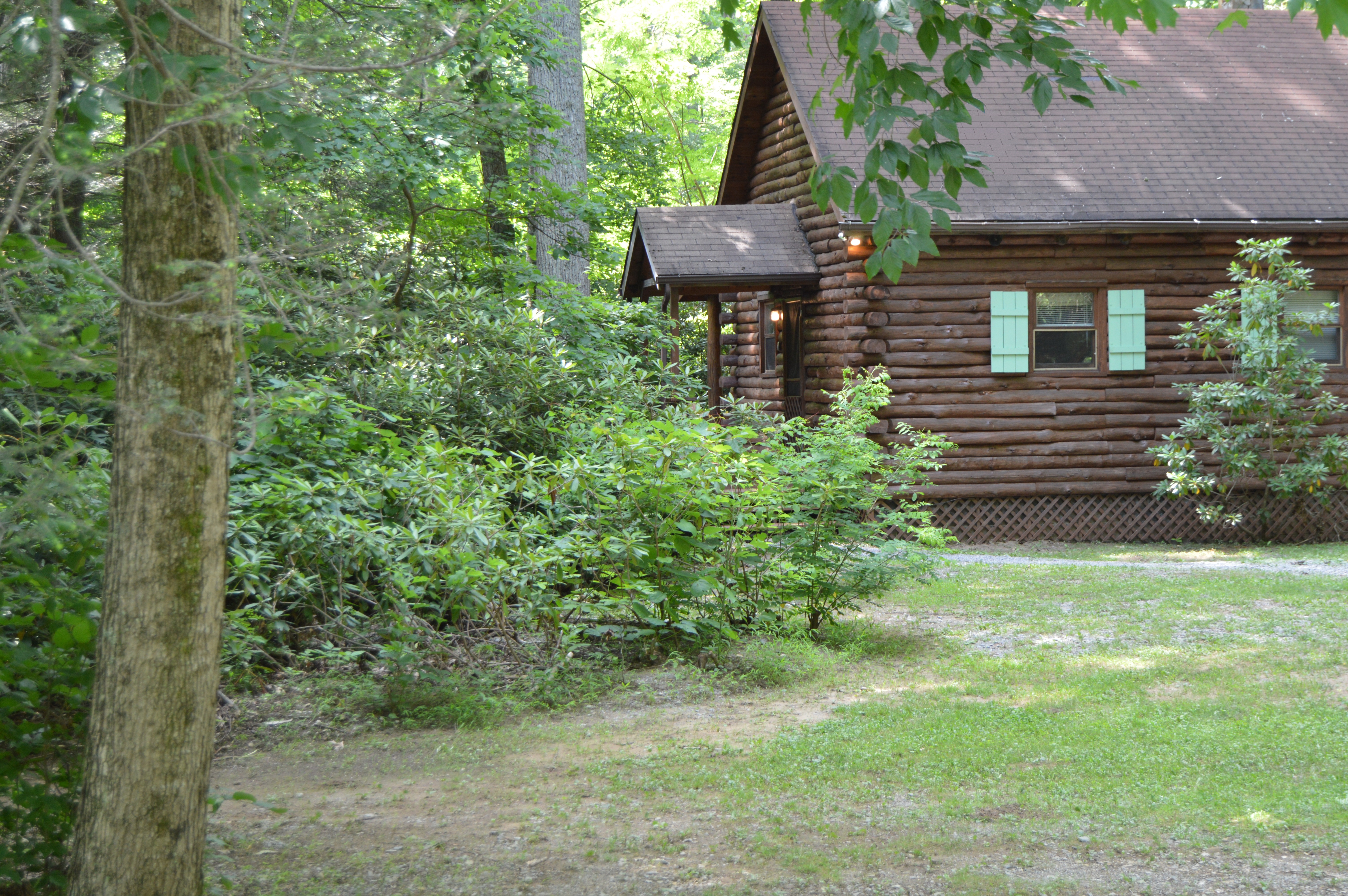 Big Polar Log Cabin Exterior View
