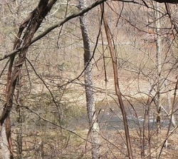 Treehouse Riverview